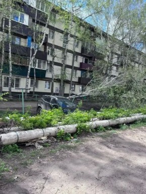 �������� ������� ����� ������� ������� � �������� ������������ ���������