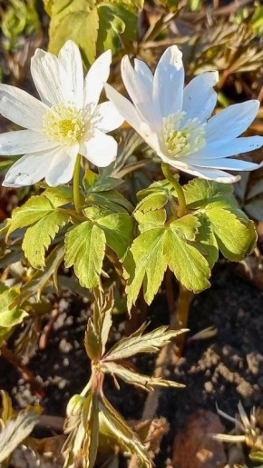 ������ ����! ������� ������ �� 27 ������