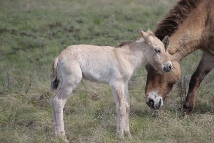 � ��������� ����������� ������� ������ �������� ������ ������������� �� ����������