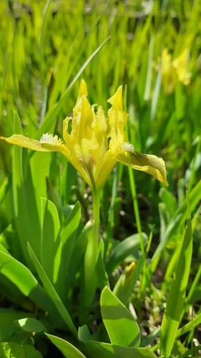 ������ ����! ������� ������ �� 28 ������