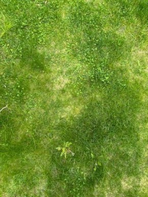 ��� ������� ��������� �����: ������� ����� ��� ������ �������