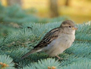 ������ ����! ������� ������ �� 30 ������