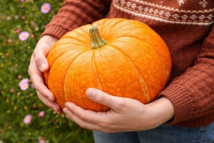 ��� ������� ��������� ����� ��� ������ �������