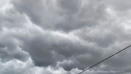 ��������� ���������� ���� ��������