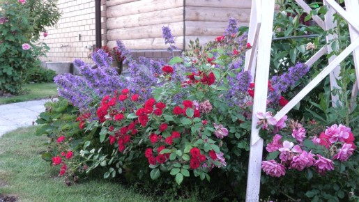 ��������: ��������� �������� ��� ������ ����