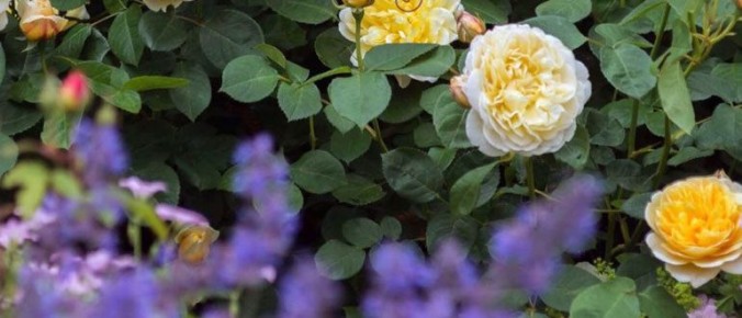 ������� � ����: ��������� ������ � ����������