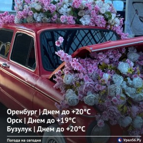 ������� ���� � ������������ ������� ��������� �� +20 ��������