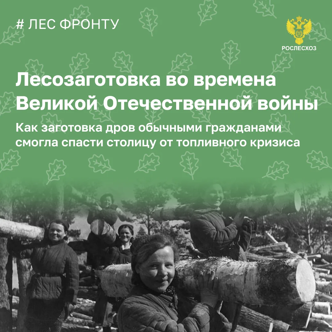 Лесозаготовители за годы войны поставили народному хозяйству 400 миллионов кубометров дров