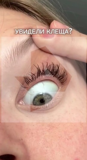 ����� ���� ���������� � ���� ������� � ������������ �������