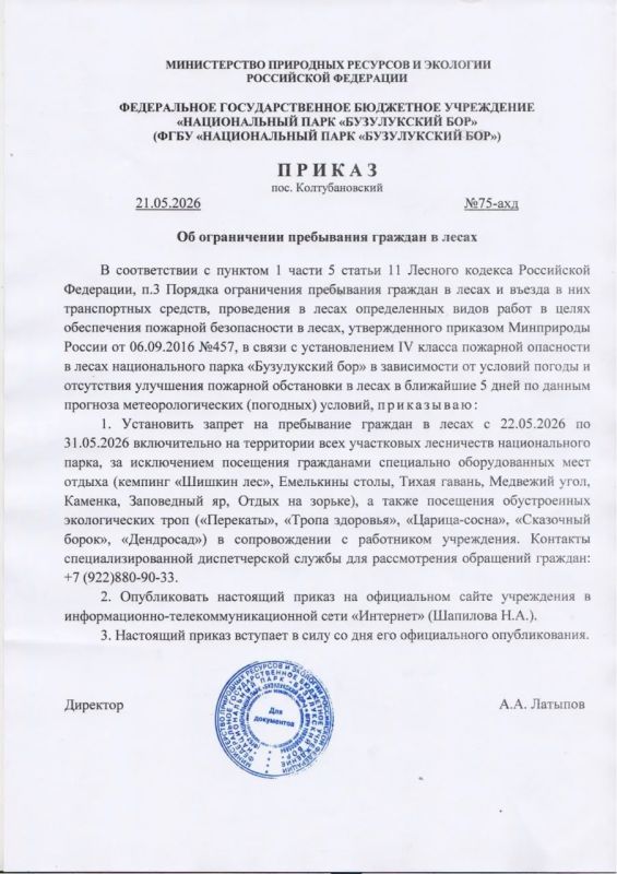 В Бузулукском бору ввели запрет на посещение лесов из-за жары