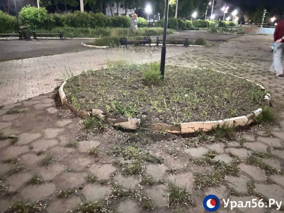 Разрушенная плитка, заросли и неработающий фонтан: как выглядит парк у ДК «Молодежный» в Оренбурге? Разрушенная плитка, заросли и неработающий фонтан: как выглядит парк у ДК «Молодежный» в Оренбурге?