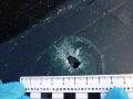 В Оренбурге мужчина открыл стрельбу из пневматической винтовки после конфликта на дороге