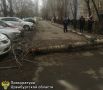 6 млн рублей вместо 12 за ампутированную ногу выплатит УК в Оренбурге пострадавшей от падения дерева