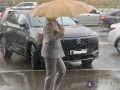Прогноз погоды: предстоящая неделя с 22 по 28 июня в Оренбургской области будет дождливой и ветреной