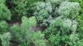 � ������������ ������� ���� ��� ������ �������� ������������� ����������� ��������� ������� ��� ������������ ����������� �� ����������� ����������� ����������� ����������� �������. ������������ � ������� ������� ����������...