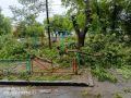 «Детская площадка уничтожена»: В Оренбурге двор завален срубленными деревьями