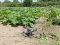 ���� ����: ���� ��� � ������ ���������� 269 ���������� ���� ��� 13 ���������� ��: