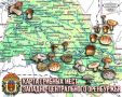 В Оренбуржье — грибной бум