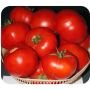 Томат тмаг 666: секреты успешного урожая с необычным вкусом