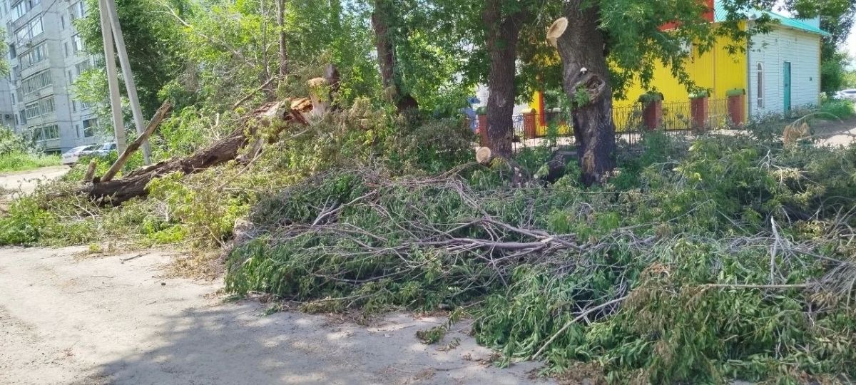 В Оренбурге изза непогоды рухнули несколько деревьев В Оренбурге изза непогоды рухнули несколько деревьев