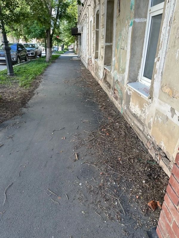 «Грязь, ветки и собачьи экскременты»: В центре Оренбурга тротуар не убирают месяцами
