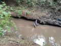 Четвёртый месяц поисков: в Октябрьском районе возводят дамбу