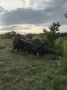 ДТП на трассе «Оренбург – Беляевка»: один пассажир погиб