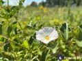 Просторы и природа Оренбургской области