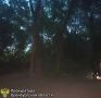 ����������� � ����� ������ �������� �� ����� ������ ���������