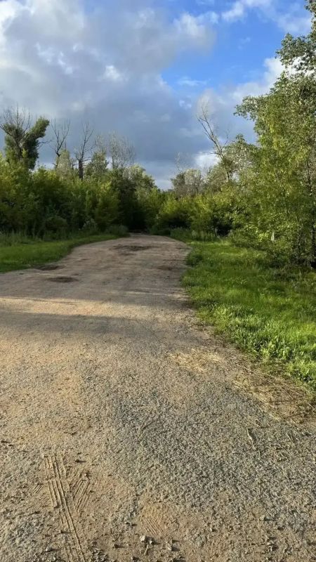В Оренбурге в Зауральной роще появится современная лыжня В Оренбурге в Зауральной роще появится современная лыжня