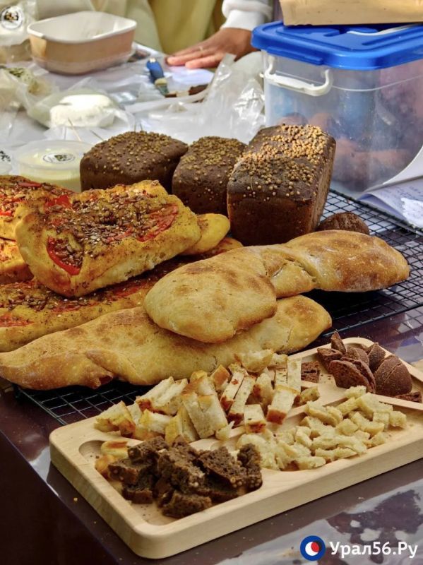 Разноцветные флажки, тень старых деревьев, фонтанчик, который наконец-то снова работает, неспешные прогулки и сотни случайных встреч Разноцветные флажки, тень старых деревьев, фонтанчик, который наконец-то снова работает, неспешные прогулки и сотни случайных встреч