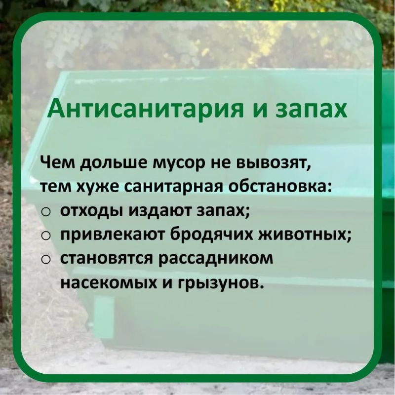 Оставили машину у баков? Последствия Оставили машину у баков? Последствия