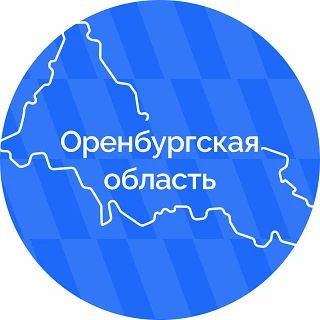 Руководитель Юнармии, Герой России Владислав Головин встретился с женским сообществом Оренбуржья Руководитель Юнармии, Герой России Владислав Головин встретился с женским сообществом Оренбуржья