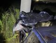 В Орске автомобиль врезался в корову, а затем — в столб