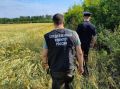 Технологии достали маньяка из прошлого