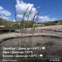 Жара в Оренбургской области сегодня спадает