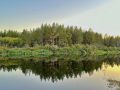 Июль в Бузулукском бору выдался почти втрое суше первого месяца лета
