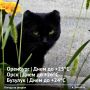 Сильной жары в Оренбургской области сегодня не прогнозируют