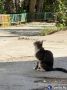 Таким был последний день лета в Орске