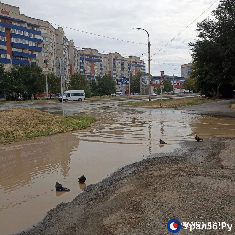 В Орске затопило остановку «Улица Сорокина» В Орске затопило остановку «Улица Сорокина»