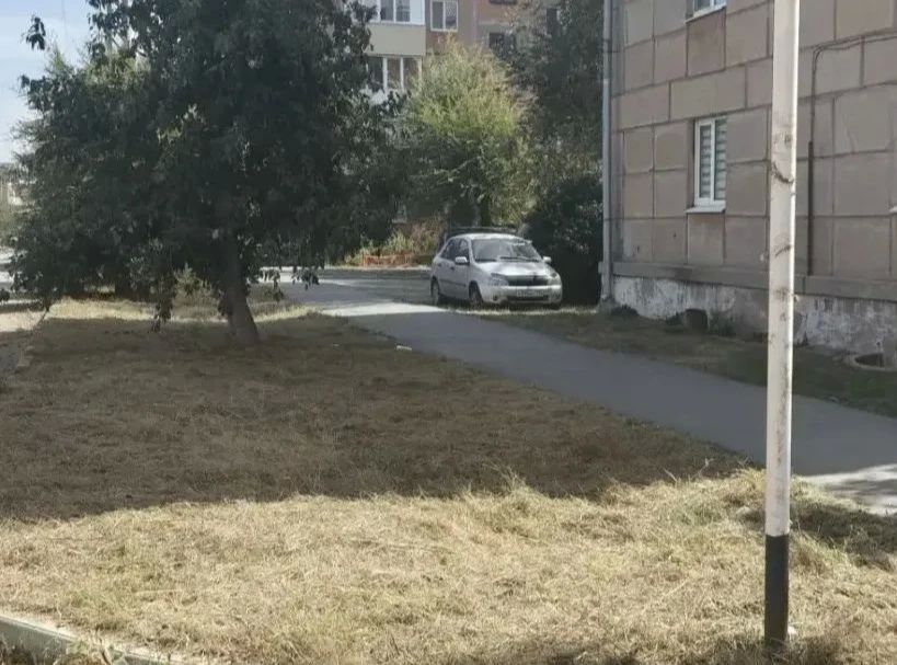 Где косили сегодня? Рассказываем Где косили сегодня? Рассказываем