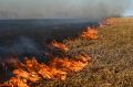 Ландшафтный пожар в Оренбургской области ликвидирован