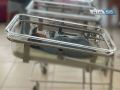 Лето ушло, но оставило после себя 450 маленьких чудес