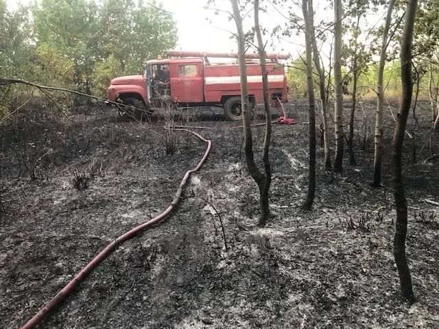 Серия пожаров в Оренбургской области: Как выглядят последствия еще 7 крупных возгораний в регионе? Серия пожаров в Оренбургской области: Как выглядят последствия еще 7 крупных возгораний в регионе?