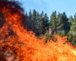 В Оренбуржье зафиксировано загрязнение воздуха из-за природных пожаров