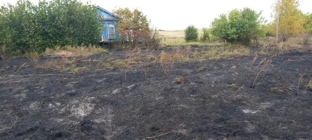 Серия пожаров в Оренбургской области: Как выглядят последствия еще 7 крупных возгораний в регионе? Серия пожаров в Оренбургской области: Как выглядят последствия еще 7 крупных возгораний в регионе?