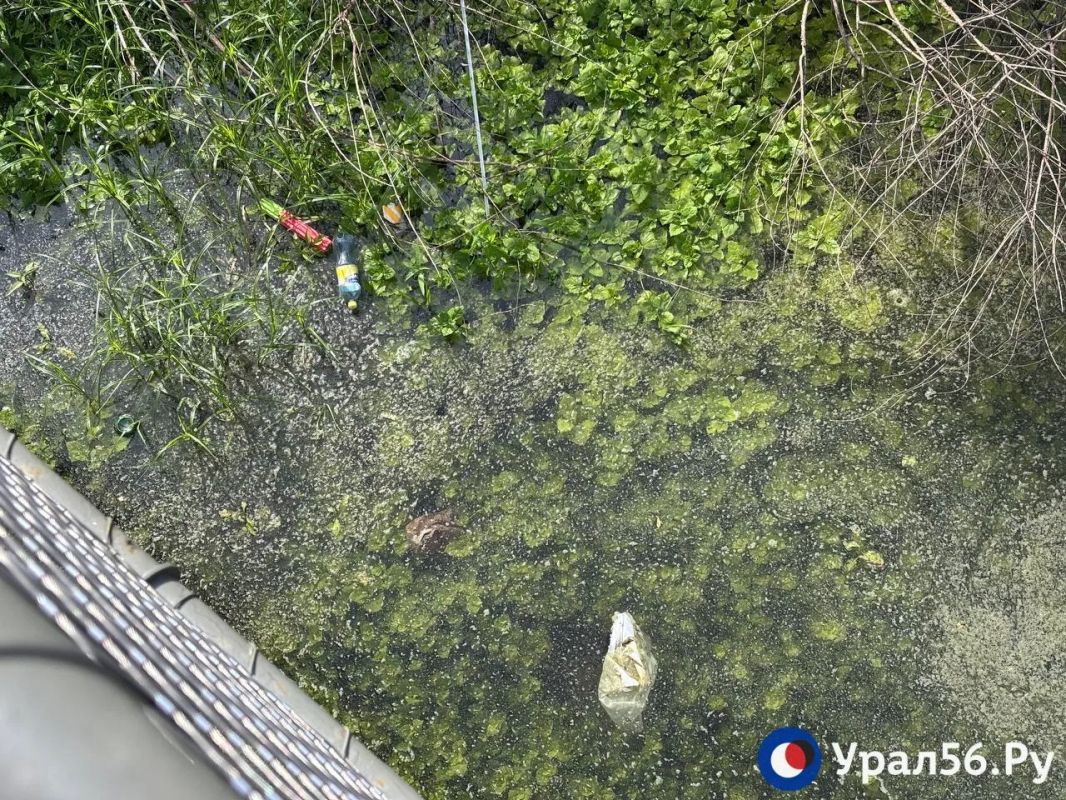 В Оренбурге вода возвращается в озеро под Тропой здоровья, но пока оно больше похоже на болото В Оренбурге вода возвращается в озеро под Тропой здоровья, но пока оно больше похоже на болото