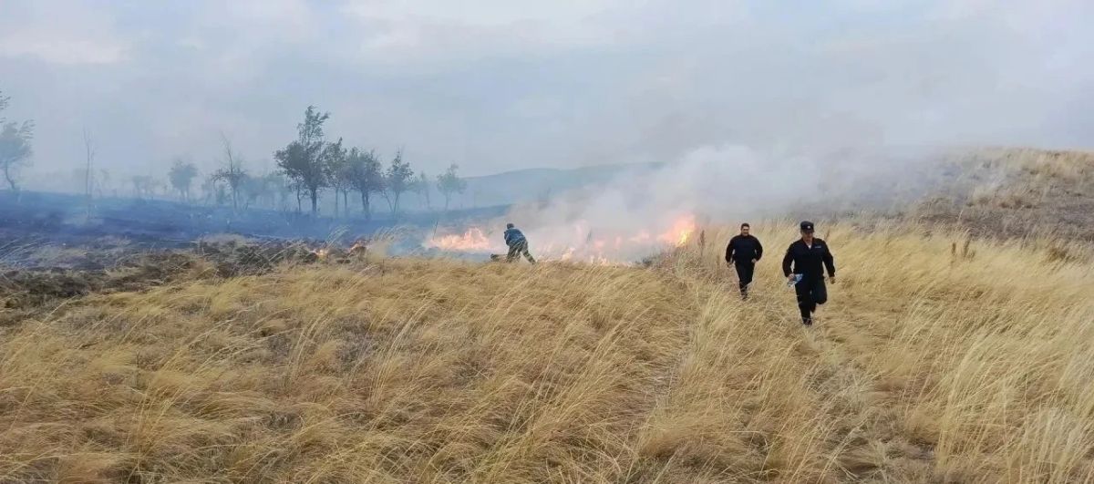 Пожар в Кваркенском районе: огонь перешёл на жилые дома Пожар в Кваркенском районе: огонь перешёл на жилые дома