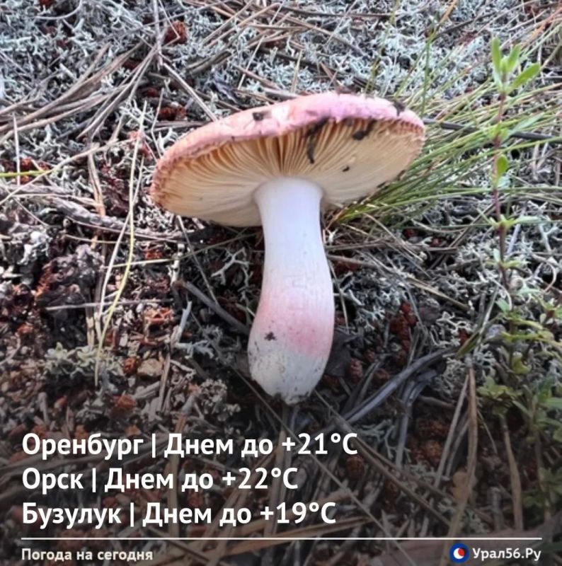 Доброе утро