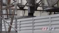 Семечки, которые не грызут, а давят!